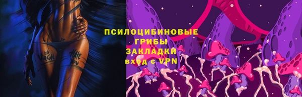 МДПВ Абаза