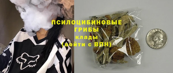 МДПВ Абаза