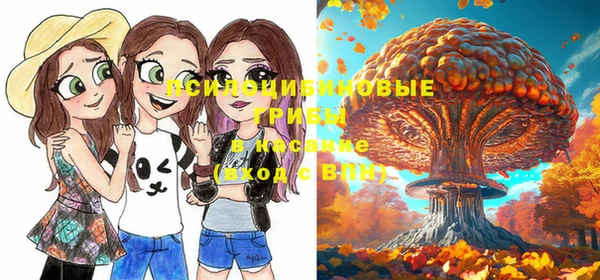 МДПВ Абаза