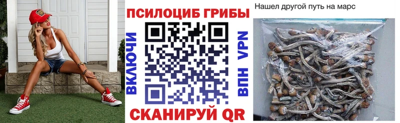 хочу наркоту  Юрюзань  Галлюциногенные грибы прущие грибы 